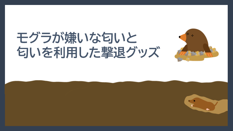 モグラが嫌いな匂いとは？モグラが嫌う匂いを利用した撃退グッズ